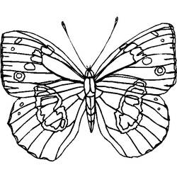 ぬりえページ: 蝶 (動物) #15814 - 無料の印刷可能なぬりえページ