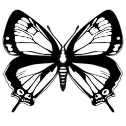 ぬりえページ: 蝶 (動物) #15827 - 無料の印刷可能なぬりえページ