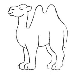 ぬりえページ: キャメル (動物) #1664 - 無料の印刷可能なぬりえページ