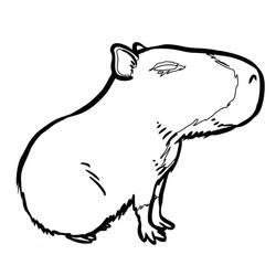 ぬりえ: カピバラ - 無料の印刷可能なぬりえページ