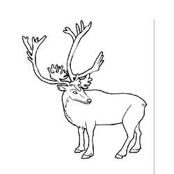 ぬりえページ: カリブー (動物) #1541 - 無料の印刷可能なぬりえページ