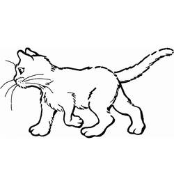 ぬりえページ: 猫 (動物) #1764 - 無料の印刷可能なぬりえページ