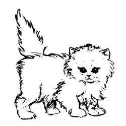 ぬりえページ: 猫 (動物) #1770 - 無料の印刷可能なぬりえページ