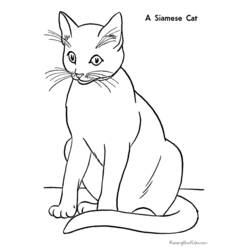 ぬりえページ: 猫 (動物) #1775 - 無料の印刷可能なぬりえページ
