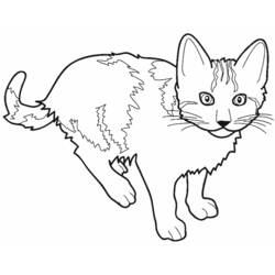 ぬりえページ: 猫 (動物) #1781 - 無料の印刷可能なぬりえページ