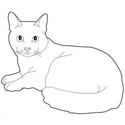 ぬりえページ: 猫 (動物) #1793 - 無料の印刷可能なぬりえページ