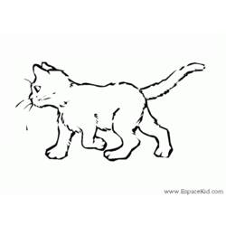 ぬりえページ: 猫 (動物) #1812 - 無料の印刷可能なぬりえページ