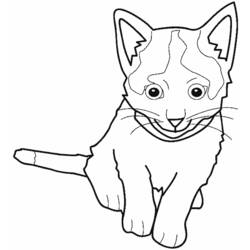 ぬりえページ: 猫 (動物) #1814 - 無料の印刷可能なぬりえページ