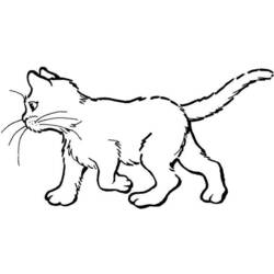 ぬりえページ: 猫 (動物) #1822 - 無料の印刷可能なぬりえページ