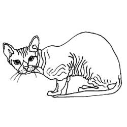 ぬりえページ: 猫 (動物) #1841 - 無料の印刷可能なぬりえページ