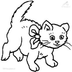 ぬりえページ: 猫 (動物) #1863 - 無料の印刷可能なぬりえページ