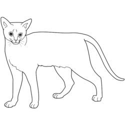 ぬりえページ: 猫 (動物) #1881 - 無料の印刷可能なぬりえページ