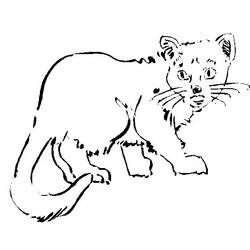 ぬりえページ: 猫 (動物) #1902 - 無料の印刷可能なぬりえページ