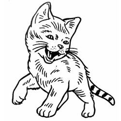 ぬりえページ: 猫 (動物) #1904 - 無料の印刷可能なぬりえページ
