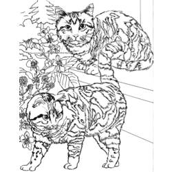 ぬりえページ: 猫 (動物) #1913 - 無料の印刷可能なぬりえページ