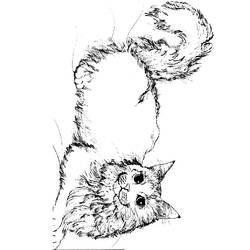 ぬりえページ: 猫 (動物) #1955 - 無料の印刷可能なぬりえページ