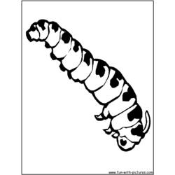 ぬりえページ: 毛虫 (動物) #18238 - 無料の印刷可能なぬりえページ