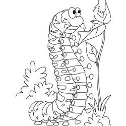 ぬりえページ: 毛虫 (動物) #18244 - 無料の印刷可能なぬりえページ