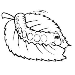 ぬりえページ: 毛虫 (動物) #18263 - 無料の印刷可能なぬりえページ