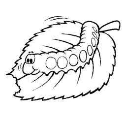 ぬりえページ: 毛虫 (動物) #18268 - 無料の印刷可能なぬりえページ