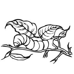 ぬりえページ: 毛虫 (動物) #18271 - 無料の印刷可能なぬりえページ