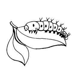 ぬりえページ: 毛虫 (動物) #18274 - 無料の印刷可能なぬりえページ