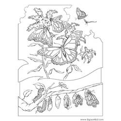 ぬりえページ: 毛虫 (動物) #18327 - 無料の印刷可能なぬりえページ