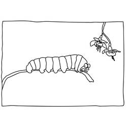 ぬりえページ: 毛虫 (動物) #18363 - 無料の印刷可能なぬりえページ