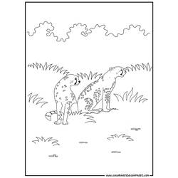ぬりえページ: チーター (動物) #7881 - 無料の印刷可能なぬりえページ