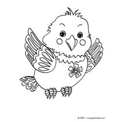 ぬりえページ: ひな鳥 (動物) #20122 - 無料の印刷可能なぬりえページ