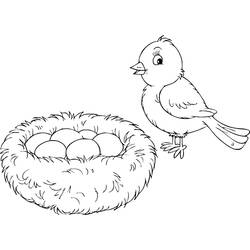 ぬりえページ: ひな鳥 (動物) #20304 - 無料の印刷可能なぬりえページ