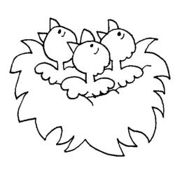 ぬりえページ: ひな鳥 (動物) #20307 - 無料の印刷可能なぬりえページ
