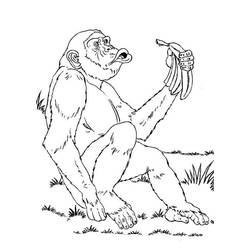 ぬりえページ: チンパンジー (動物) #2782 - 無料の印刷可能なぬりえページ