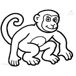 ぬりえページ: チンパンジー (動物) #2788 - 無料の印刷可能なぬりえページ