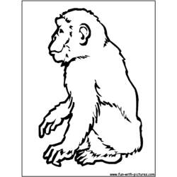 ぬりえページ: チンパンジー (動物) #2794 - 無料の印刷可能なぬりえページ
