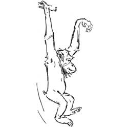 ぬりえページ: チンパンジー (動物) #2812 - 無料の印刷可能なぬりえページ