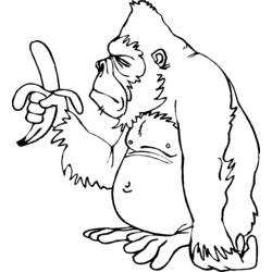 ぬりえページ: チンパンジー (動物) #2828 - 無料の印刷可能なぬりえページ