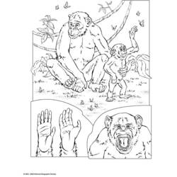 ぬりえページ: チンパンジー (動物) #2832 - 無料の印刷可能なぬりえページ