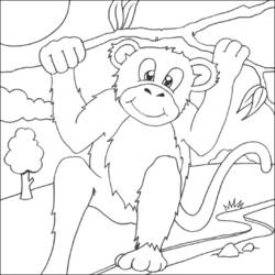 ぬりえページ: チンパンジー (動物) #2866 - 無料の印刷可能なぬりえページ