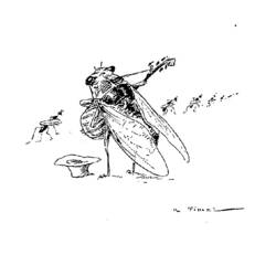 ぬりえページ: 蝉 (動物) #18485 - 無料の印刷可能なぬりえページ