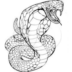ぬりえページ: コブラ (動物) #3220 - 無料の印刷可能なぬりえページ