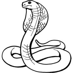 ぬりえページ: コブラ (動物) #3223 - 無料の印刷可能なぬりえページ