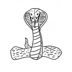 ぬりえ: コブラ - 無料の印刷可能なぬりえページ