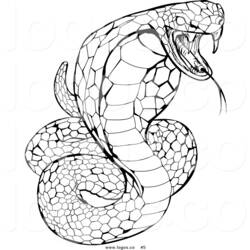 ぬりえページ: コブラ (動物) #3263 - 無料の印刷可能なぬりえページ