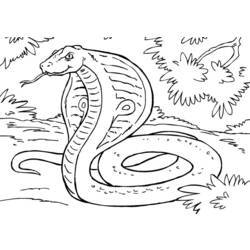 ぬりえページ: コブラ (動物) #3308 - 無料の印刷可能なぬりえページ