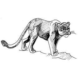 ぬりえページ: クーガー (動物) #4385 - 無料の印刷可能なぬりえページ