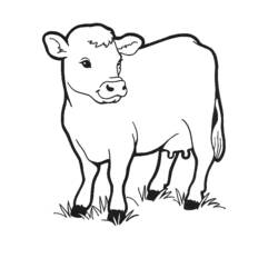 ぬりえページ: 牛 (動物) #13189 - 無料の印刷可能なぬりえページ