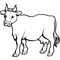 ぬりえ: 牛 - 無料の印刷可能なぬりえページ