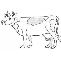 ぬりえページ: 牛 (動物) #13227 - 無料の印刷可能なぬりえページ