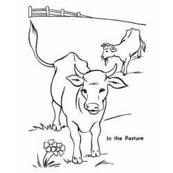 ぬりえページ: 牛 (動物) #13229 - 無料の印刷可能なぬりえページ